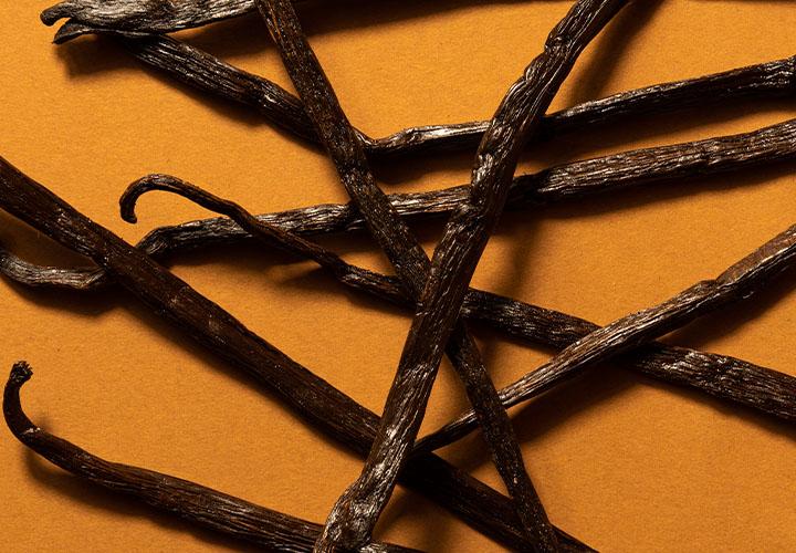 Spotlight: Madagascar Vanilla Beans