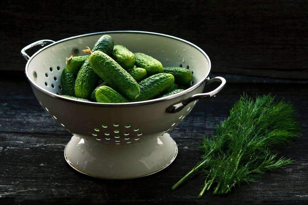 No-Salt Refrigerator Pickles