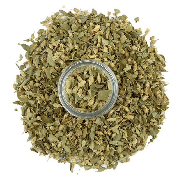 mexican-oregano-3.png|algolia