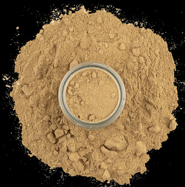 porcini-mushroom-powder-3.png|algolia