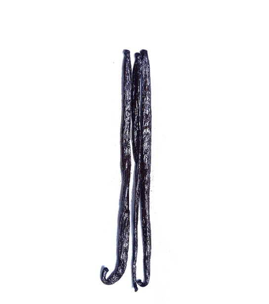 Gourmet Vanilla Beans