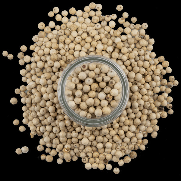 white-peppercorns-3.png|algolia