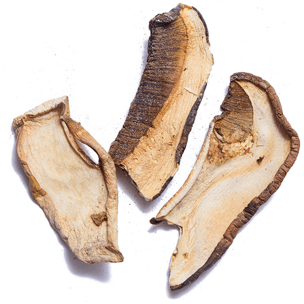 porcini-mushrooms-extra-aa-3.png|algolia