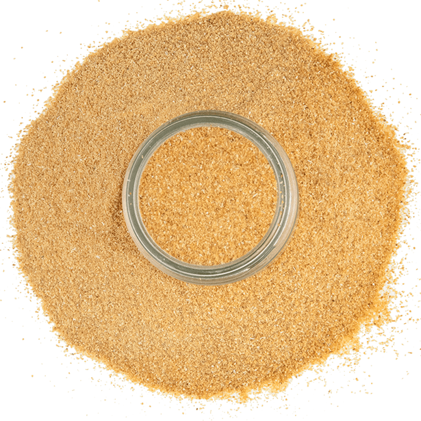 toasted-granulated-onion-3.png|algolia