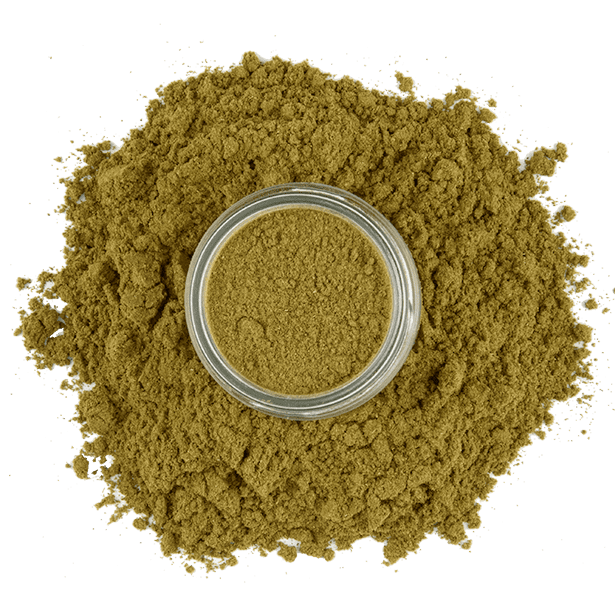 ground-mexican-oregano-3.png|algolia