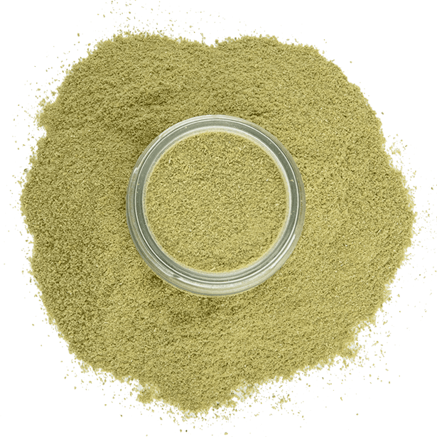 ground-rosemary-3.png|algolia