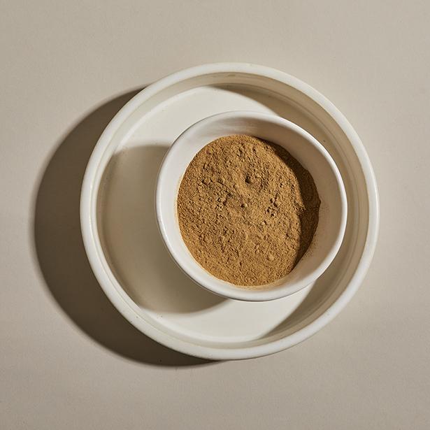 Porcini Mushroom Powder