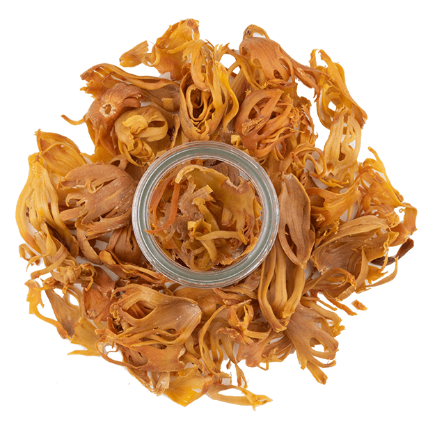 blade-mace-3.png|algolia