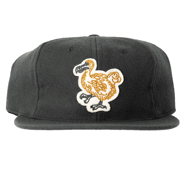 Limited Edition Explorer's Cap