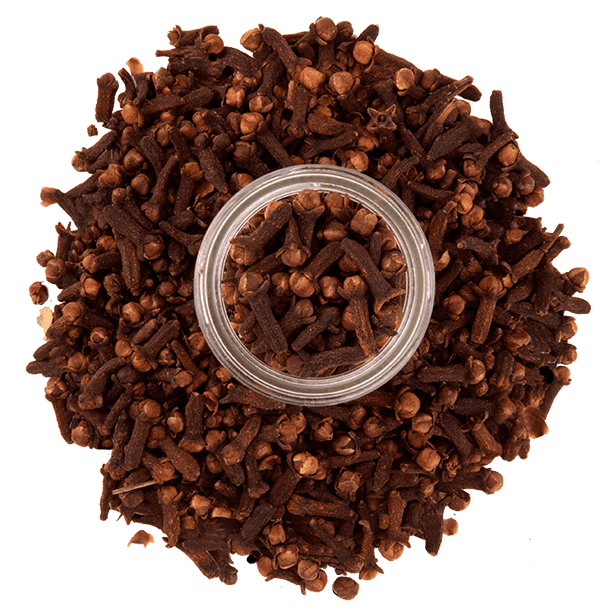 cloves-hand-selected-3.png|algolia