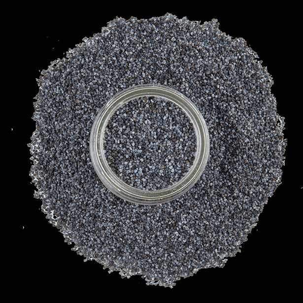 blue-poppy-seeds-3.png|algolia