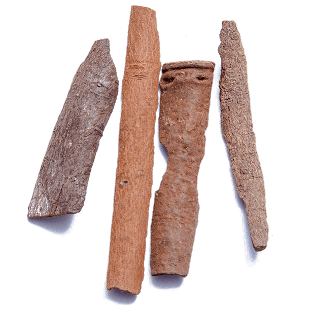 saigon-cassia-cinnamon-pieces-3.png|algolia