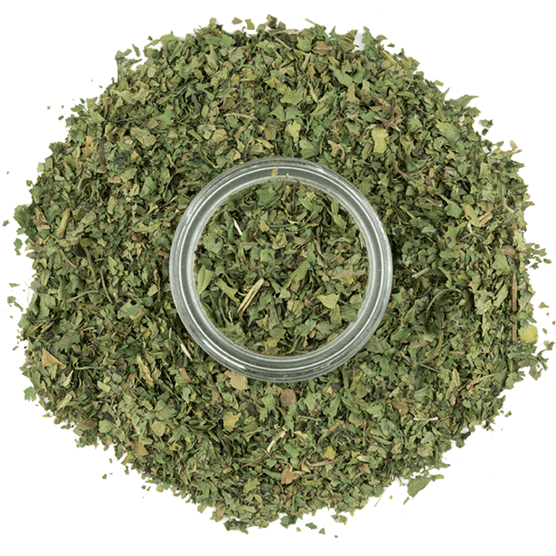 cilantro-3.png|algolia