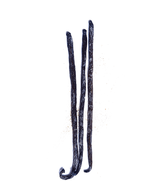 mexican-vanilla-beans-3.png|algolia
