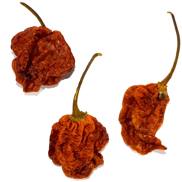 carolina-reaper-chiles-3.png|algolia