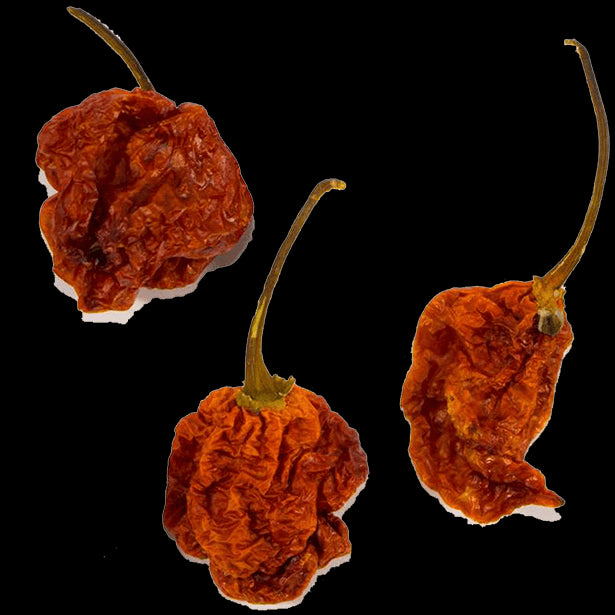 carolina-reaper-chiles-3.png|algolia