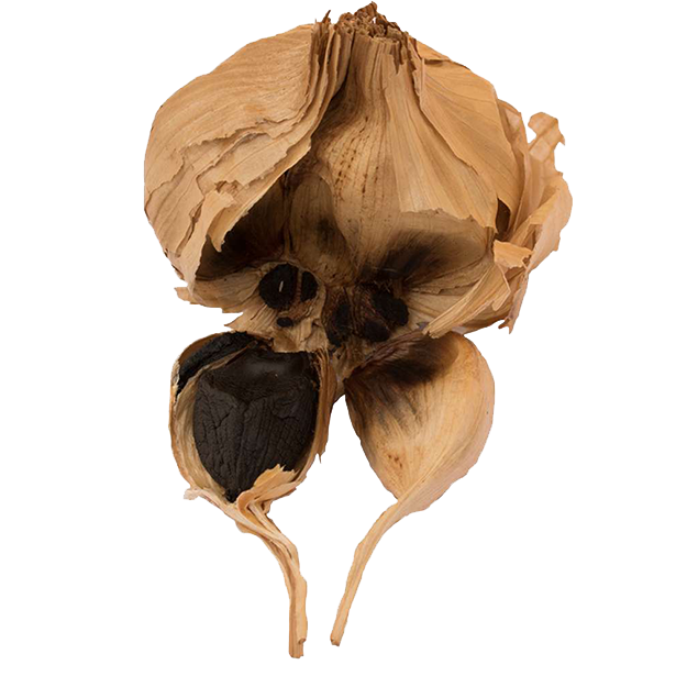black-garlic-bulbs-3.png|algolia